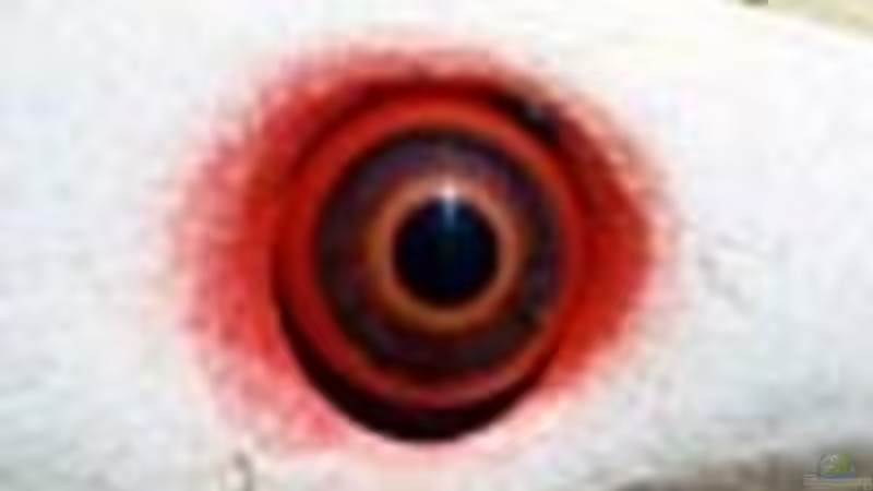 Userbild von Ronny Kretschner von Ronny Kretschner (20)