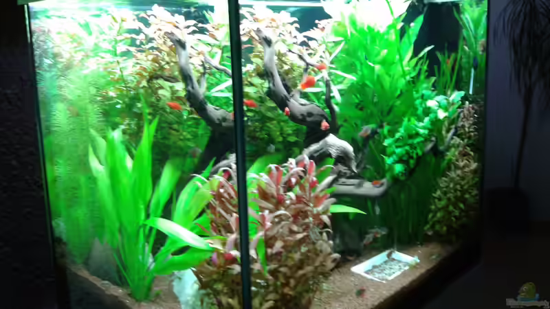 Userbild von Ronny Wagner von Ronny Wagner (5)