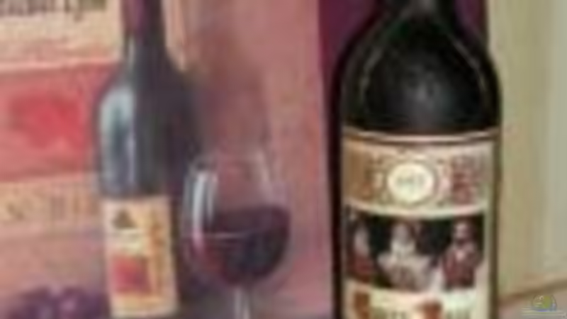 Userbild von Rotwein von Rotwein (14)