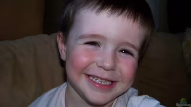 Userbild von Rudolf Erni von Rudolf Erni (10)