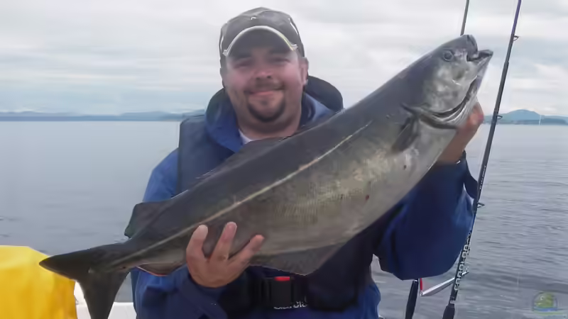 Userbild von Ruppinho von Ruppinho (62)