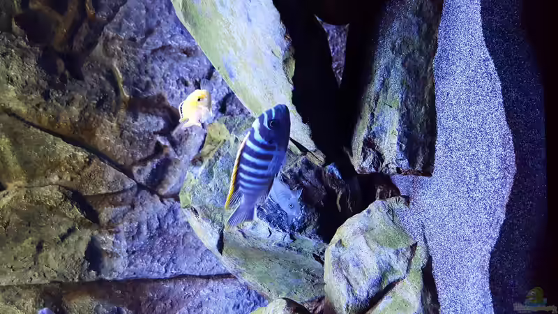 Userbild von S.G von S.G (6)