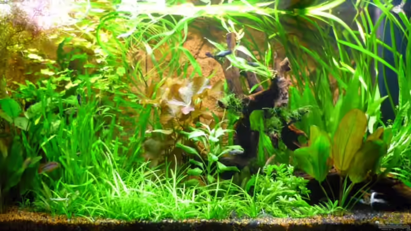 Userbild von Sabrina & Dirk Bergmann von Sabrina & Dirk Bergmann (60)