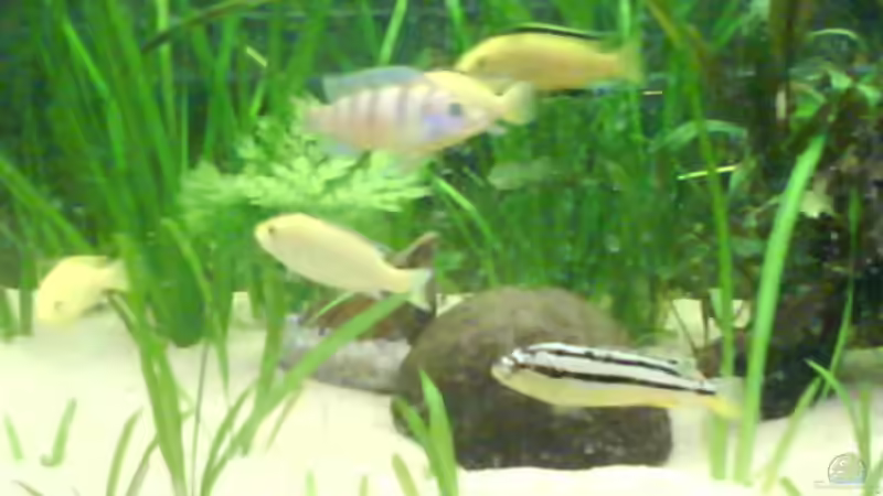 Userbild von Sacha Gerwill von Sacha Gerwill (7)