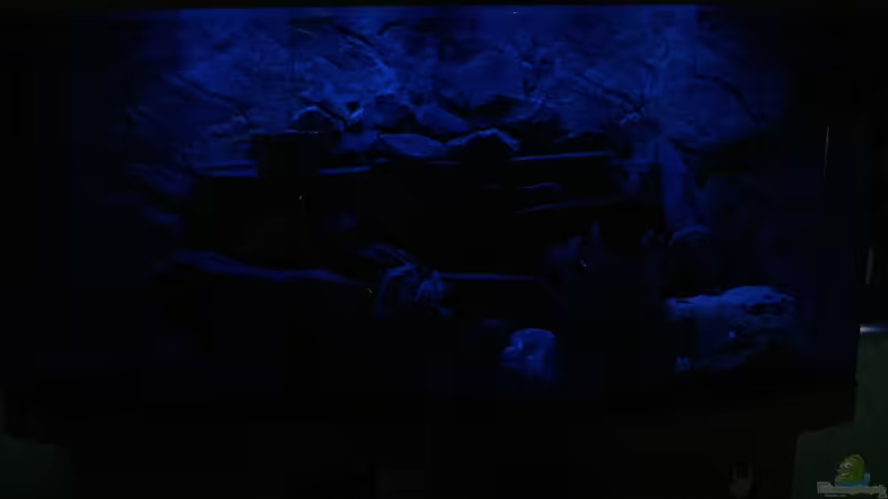 Userbild von Saikon von Saikon (12)