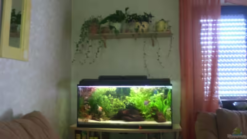 Userbild von sambista von sambista (25)