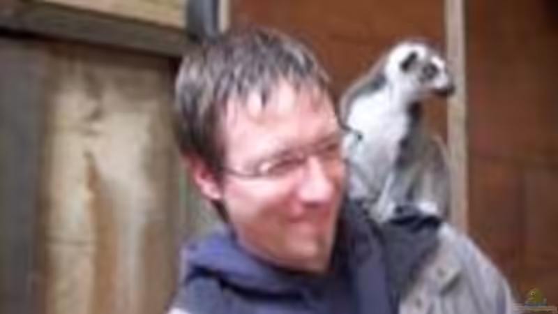 Userbild von Samson von Samson (14)