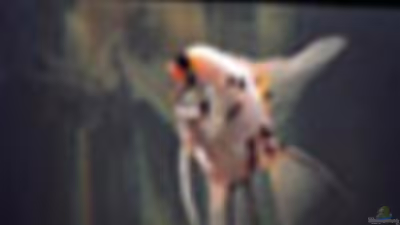 Userbild von Sandra Stoffels von Sandra Stoffels (20)