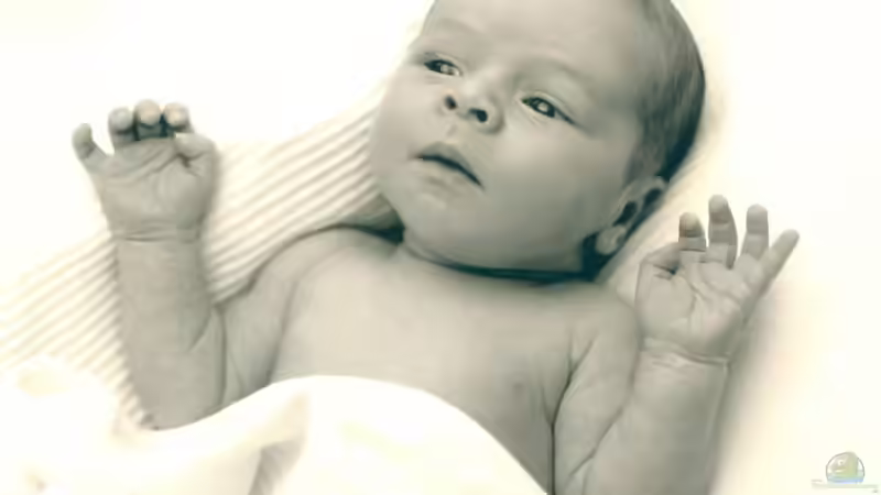 Userbild von Sandro Wiery von Sandro Wiery (10)