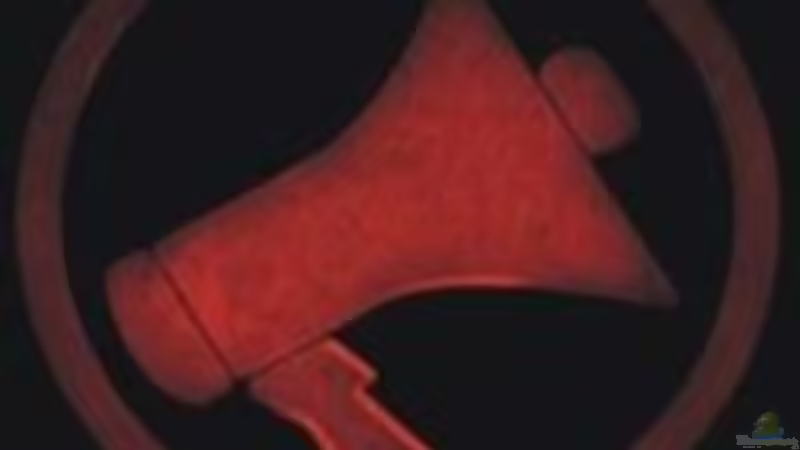 Userbild von Schdäff von Schdäff (51)