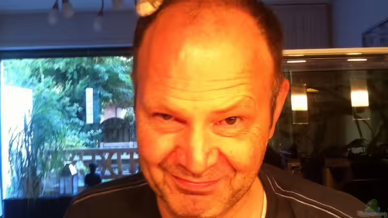 Userbild von schmitzkatze von schmitzkatze (16)