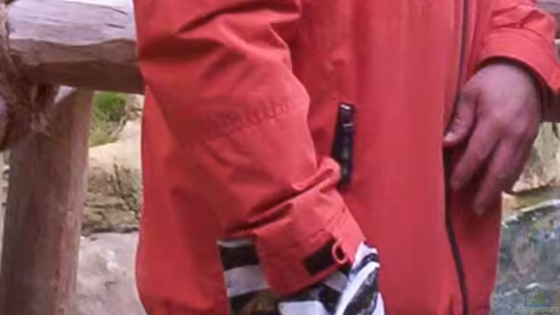 Userbild von Schratze von Schratze (36)