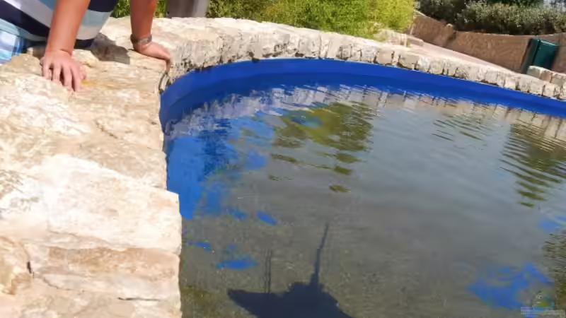 Userbild von schwiizerfisch93 von schwiizerfisch93 (22)