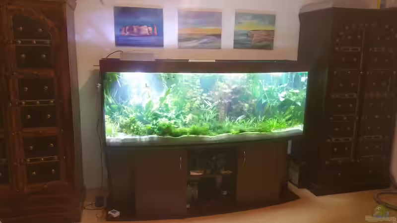 Userbild von Seaofgreen von Seaofgreen (4)