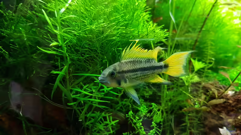 Userbild von Sebastian Hartmann von Sebastian Hartmann (134)