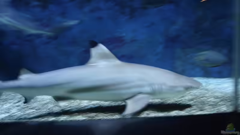 Userbild von Sebastian Hattel von Sebastian Hattel (3)