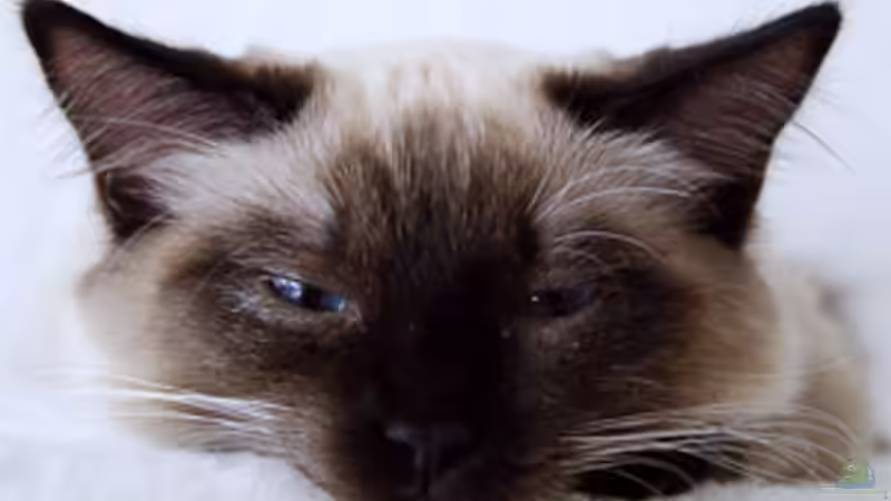 Userbild von senf. von senf. (26)