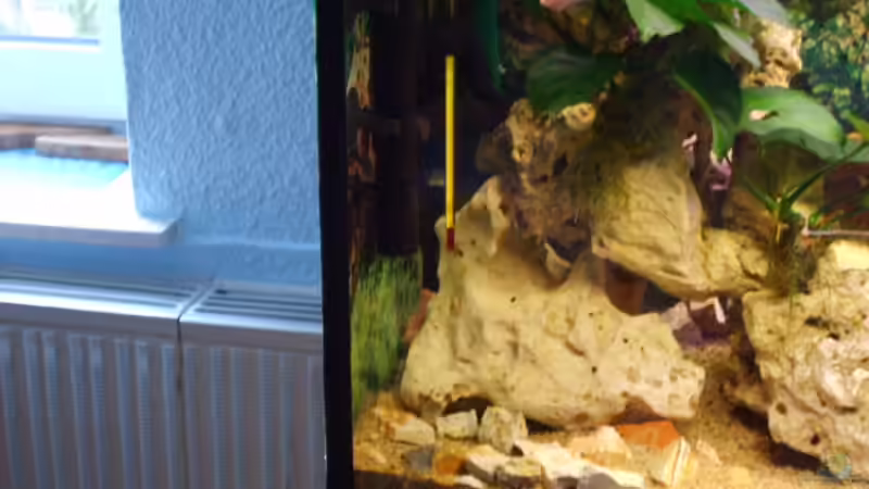 Userbild von Severin Wilfried von Severin Wilfried (2)