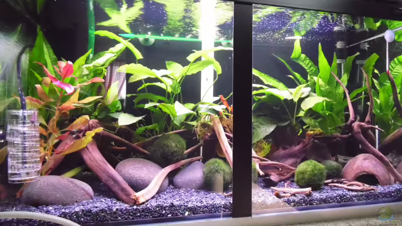 Userbild von shiru_k10 von shiru_k10 (49)