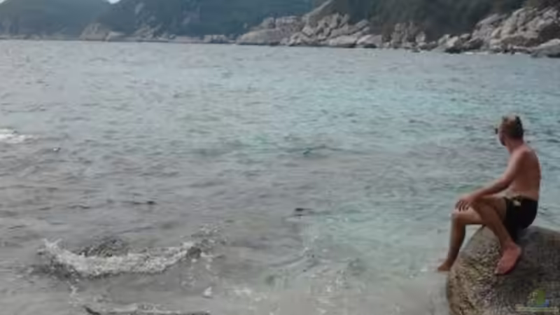 Userbild von Simon Delgardo von Simon Delgardo (18)