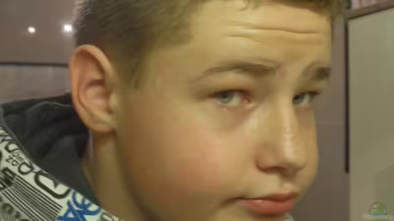 Userbild von simson von simson (10)