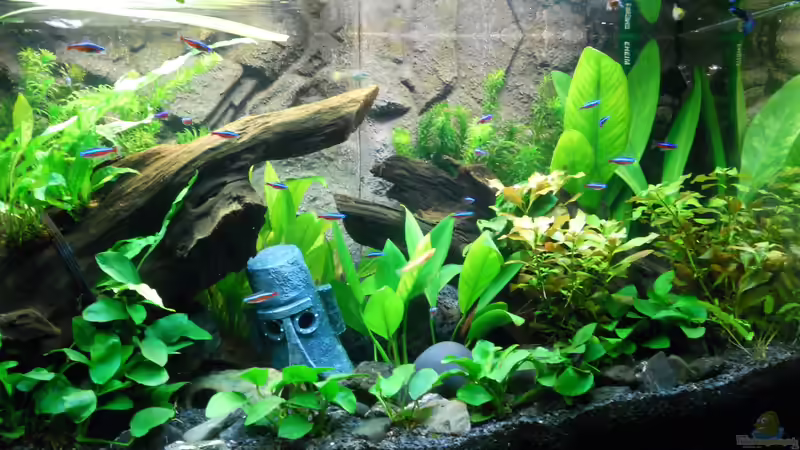 Userbild von Skalar321 von Skalar321 (2)