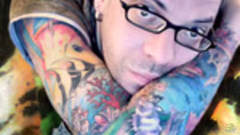 Userbild von skalarvonwels von skalarvonwels (10)