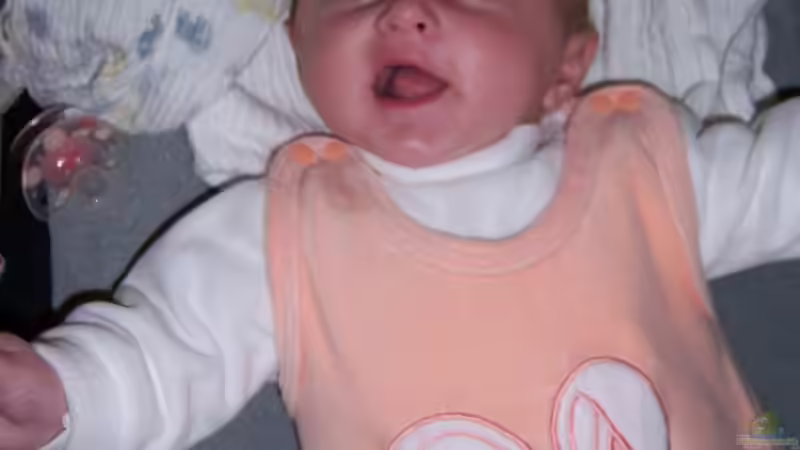 Userbild von Slap-Fighter-FCN von Slap-Fighter-FCN (15)