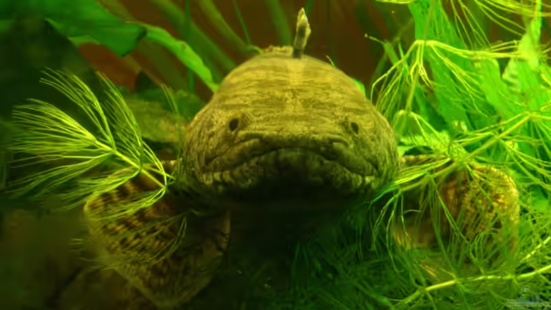 Userbild von SML von SML (29)