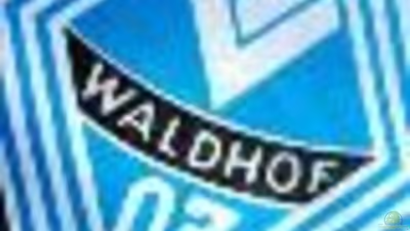 Userbild von Sören Gebhardt von Sören Gebhardt (24)