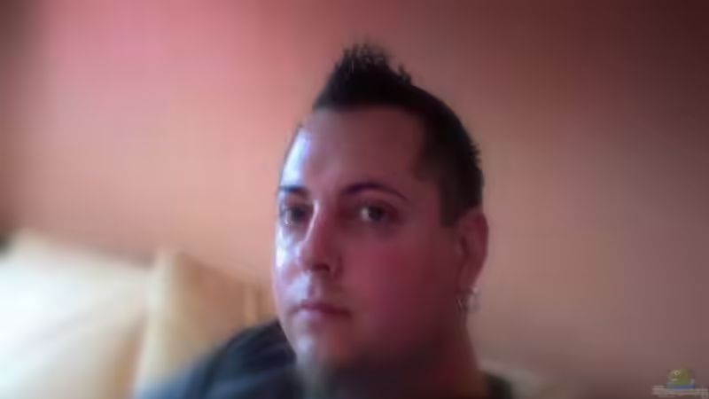 Userbild von Sören Petersen von Sören Petersen (21)