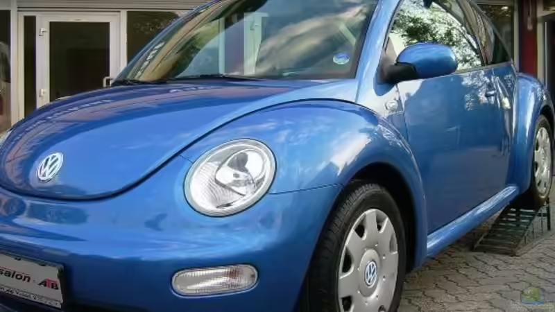 Userbild von Sonnenelise2003 von Sonnenelise2003 (20)