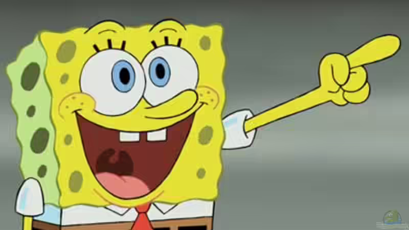 Userbild von Spongebob von Spongebob (21)