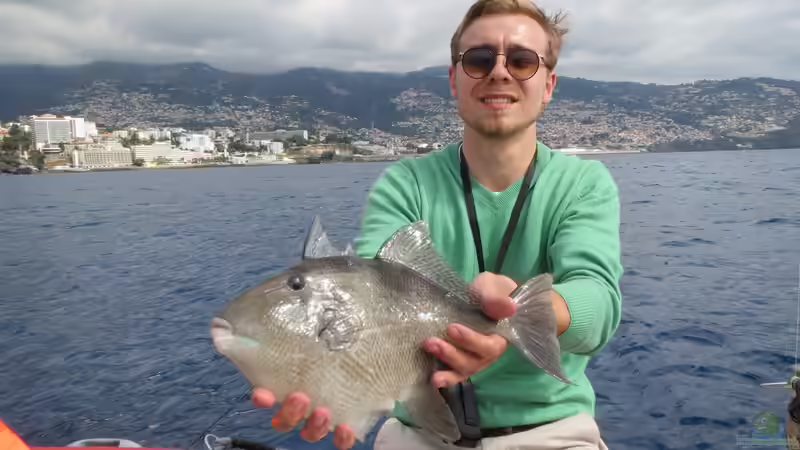 Userbild von Stabheuschrecke23 von Stabheuschrecke23 (18)