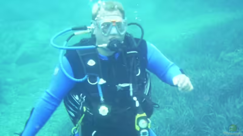 Userbild von Stefan Horvath von Stefan Horvath (16)