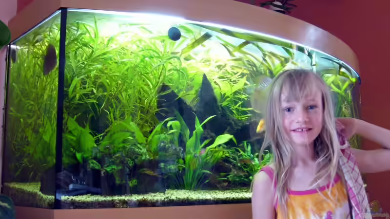 Userbild von Stefan Kohlschmidt von Stefan Kohlschmidt (18)