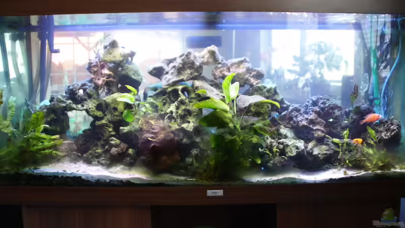 Userbild von Stefan Mischler von Stefan Mischler (32)