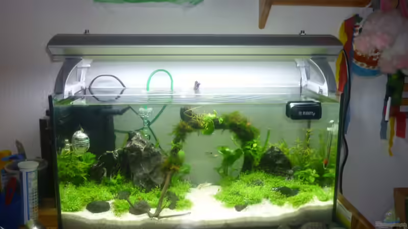 Userbild von Stefan Rohland von Stefan Rohland (15)