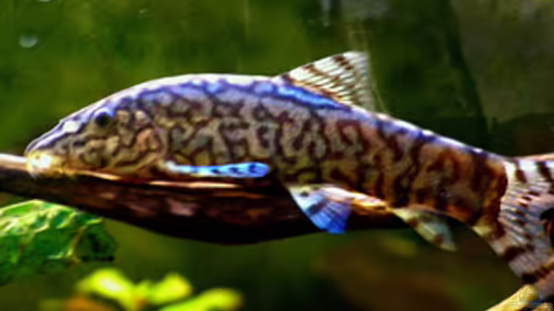 Userbild von Stefan_S von Stefan_S (26)