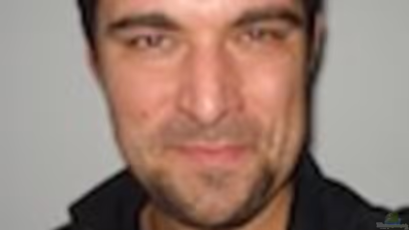 Userbild von Stefan Schmitt von Stefan Schmitt (23)