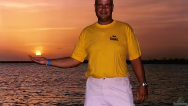 Userbild von Stefan Schulz von Stefan Schulz (60)