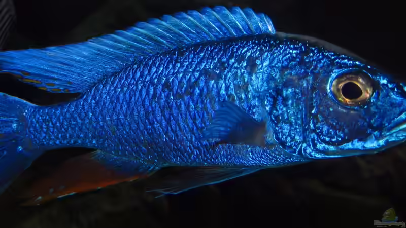 Userbild von Steffen G von Steffen G (72)