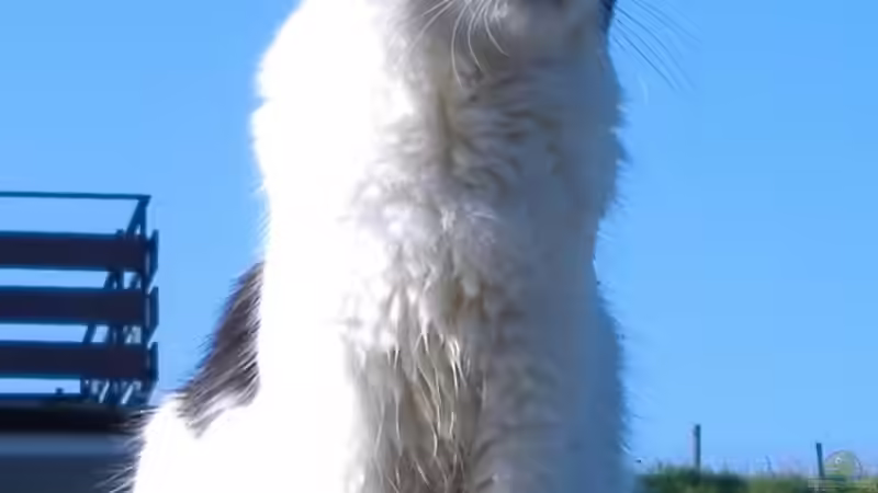 Userbild von Steffen Helbig von Steffen Helbig (6)