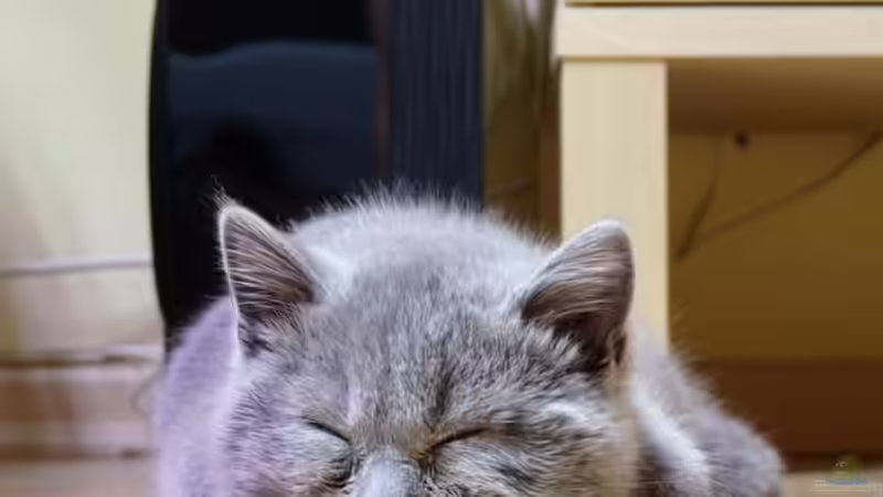 Userbild von Steffen S. von Steffen S. (18)