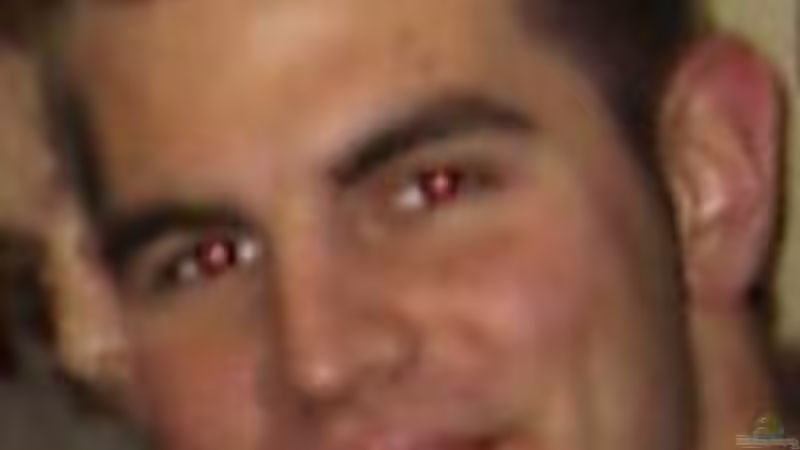 Userbild von Stephan Roberg von Stephan Roberg (8)