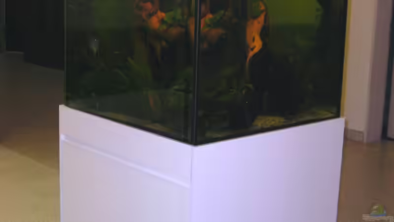 Userbild von Stephan Sigg von Stephan Sigg (9)