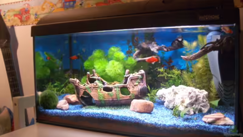 Userbild von Stifflersmom76 von Stifflersmom76 (12)