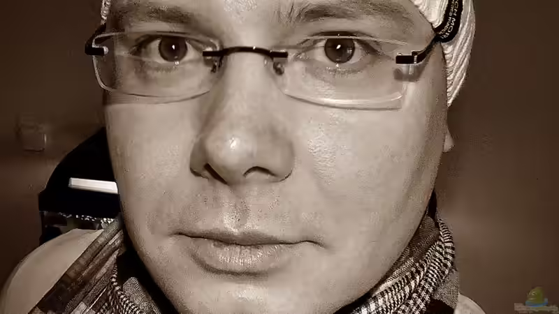 Userbild von Stony von Stony (9)