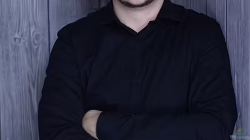 Userbild von stroelly von stroelly (8)