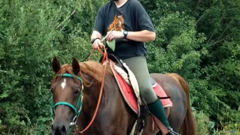 Userbild von Susanne Kruse von Susanne Kruse (29)